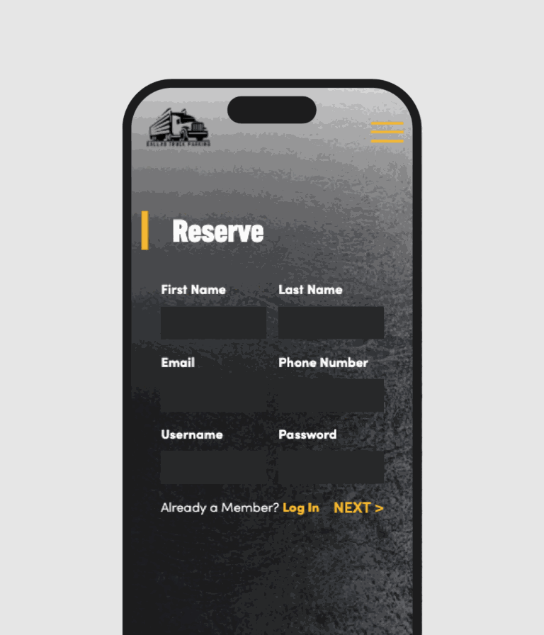 Project showcase 3